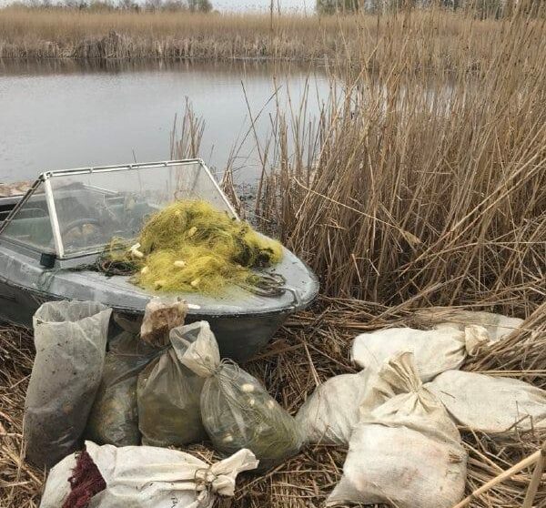 браконьєри