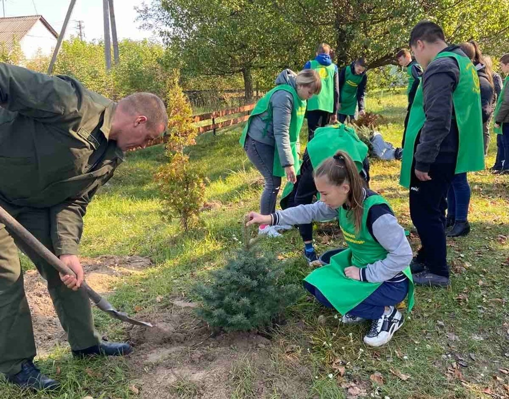 Канів лісівники