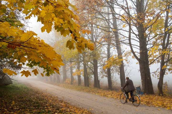 осінь хмарно