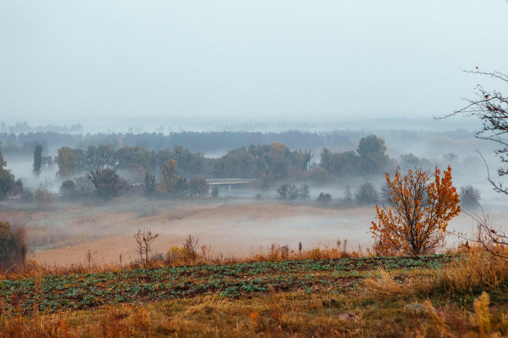 Шаєва гора в тумані