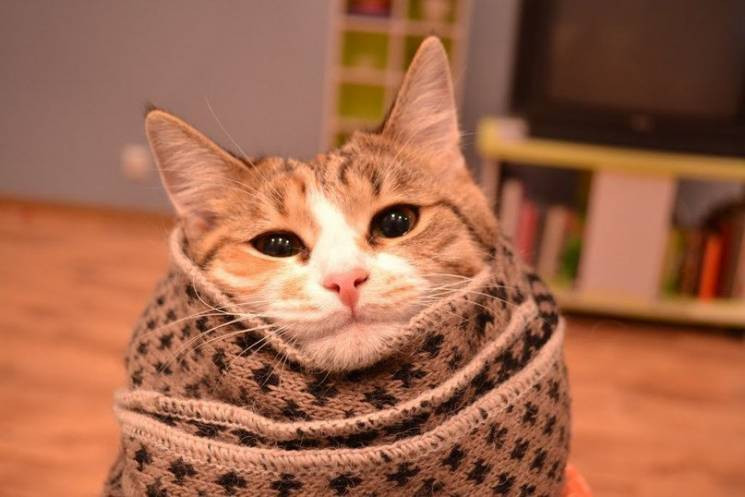 опалення