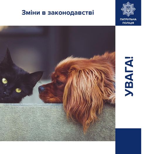 Зміни законодавства