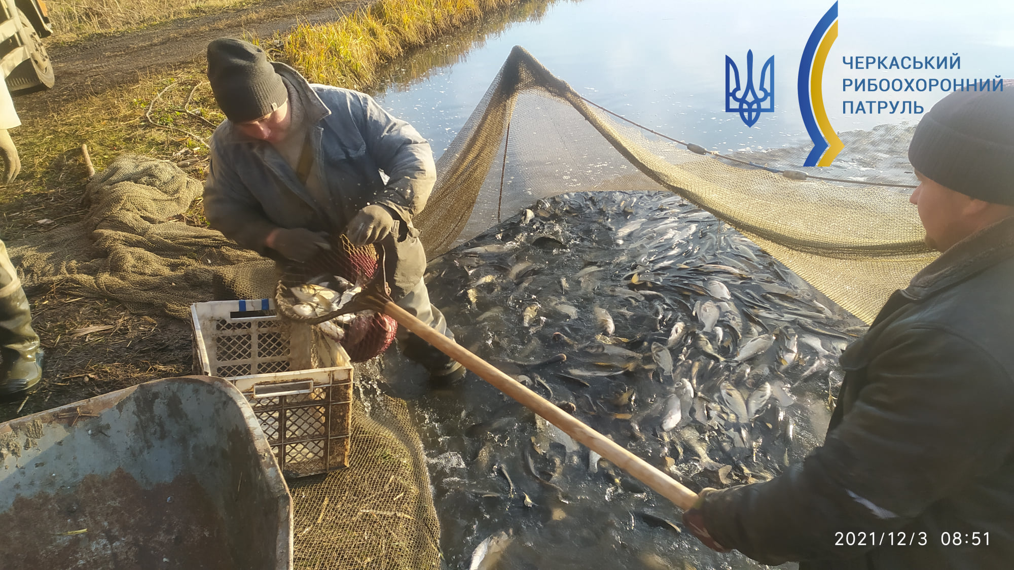 Кременчуцького водосховища
