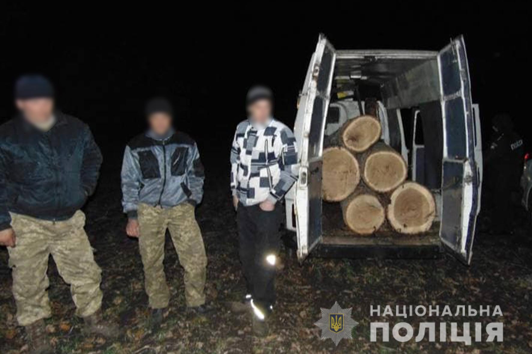 зрубані дерева
