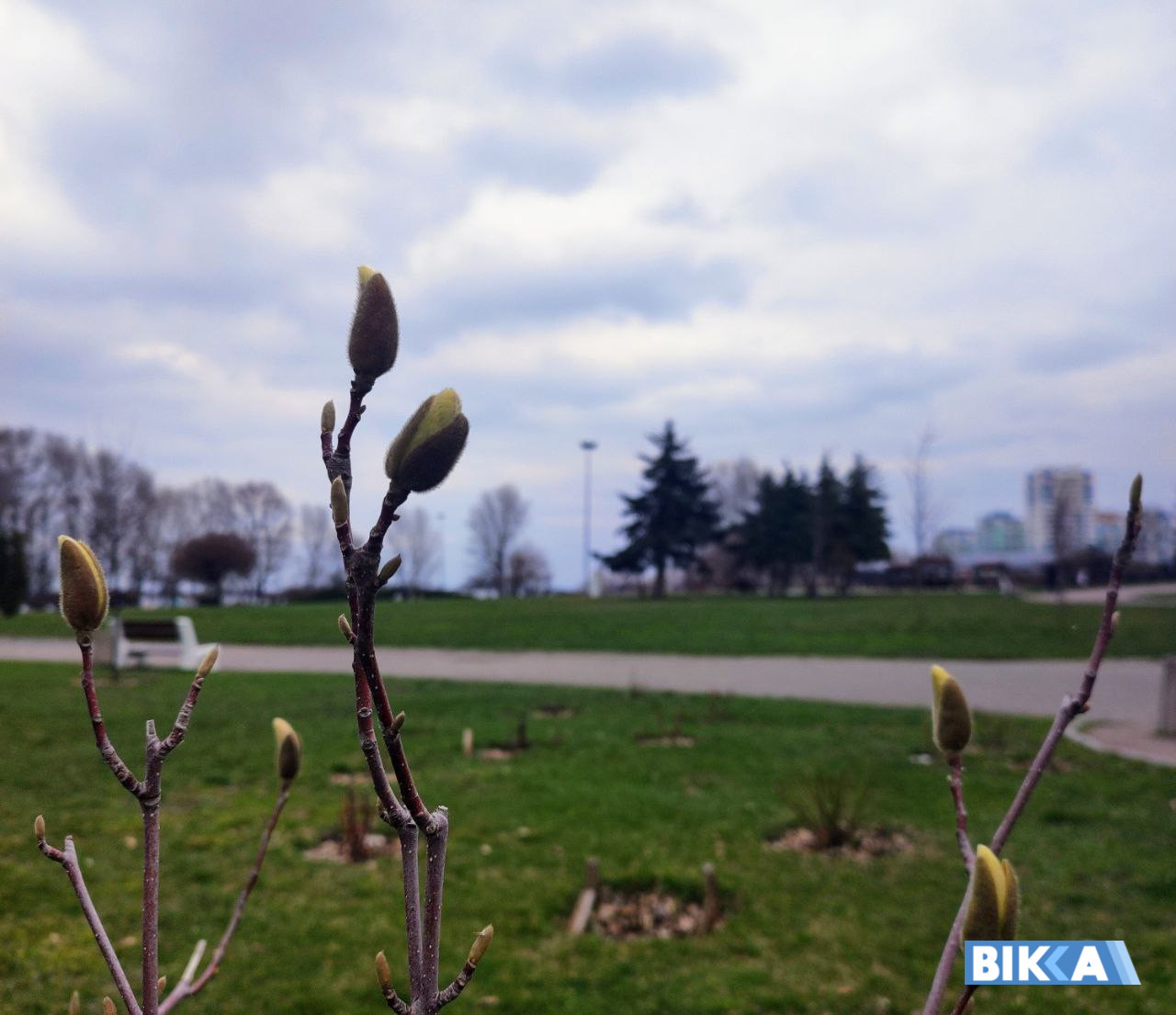 природа весна долина троянд Черкаси