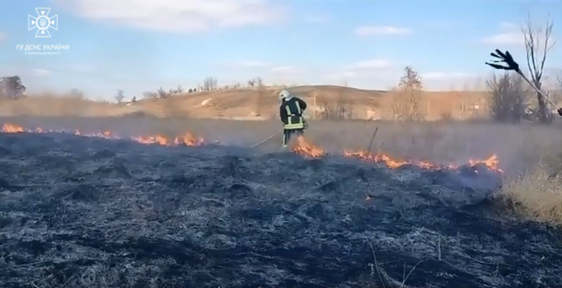 суха трава