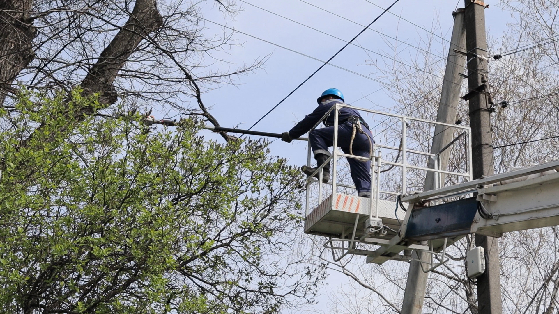обленерго