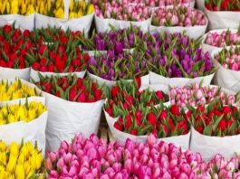 квіти тюльпани 8 березня
