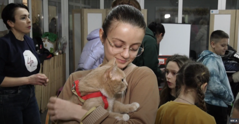 “Котовасія” у Черкасах зібрала 10 тисяч гривень на безпритульних тварин (ВІДЕО)