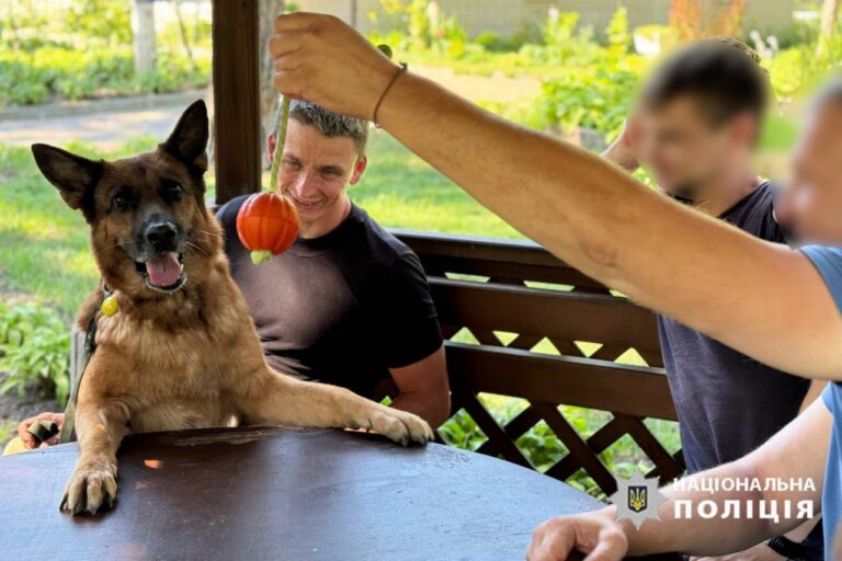 «Хвостаті лікарі»: у Черкасах для бійців на реабілітації провели сеанс каністерапії (ВІДЕО)