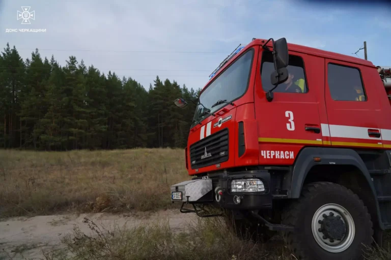 У Вергунах ліквідували пожежу на площі понад 25 гектарів
