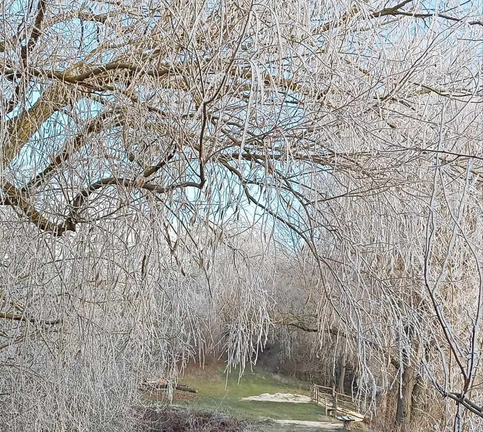 погода