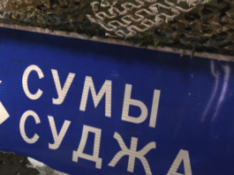 суджа