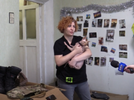 квартира в оренду корабльова