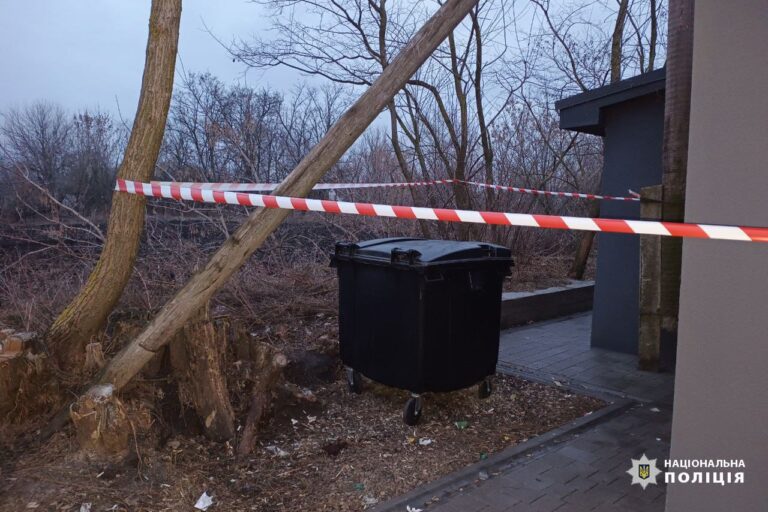 Жителька Золотоніщини поклала власну дитину у сміттєвий бак
