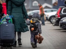 переселенці ВПО