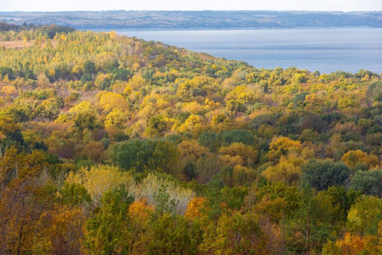 На Черкащині прокуратура вимагає повернути землі парку «Трахтемирів» державі