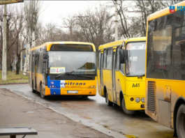 автобус маршрутка транспорт