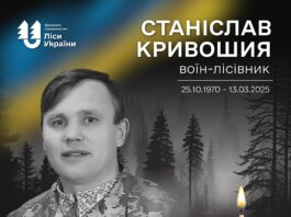 Станіслав Кривошия