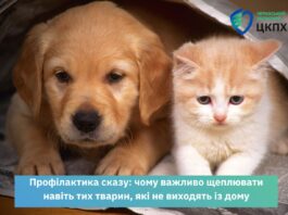 сказ щеплення вакцинація