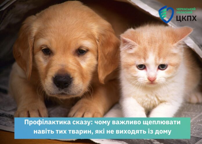 сказ щеплення вакцинація