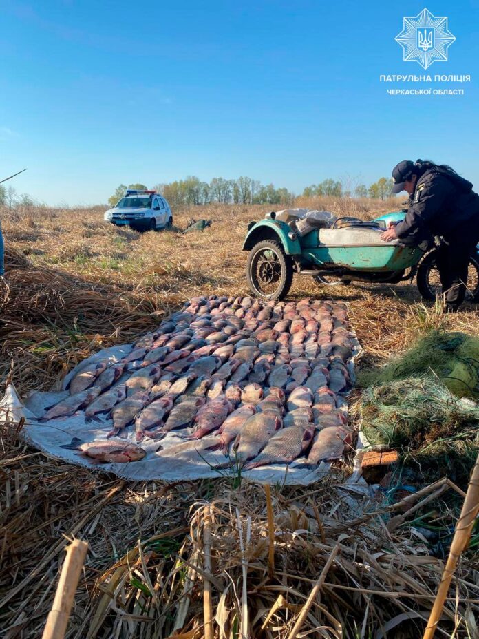 492155897_1084692377036395_648460828170998090_n