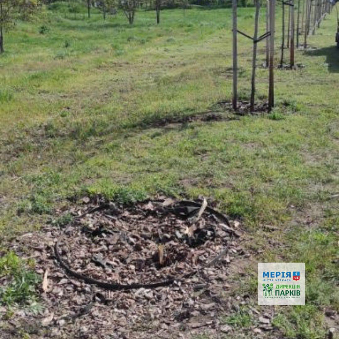 У черкаському парку знищили дерево на Алеї Героїв