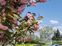 погода весна черкаси