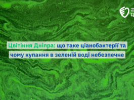 цвіте дніпро