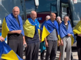 звільнені