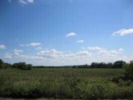 Не платив за оренду 3 роки: на Черкащині суд повернув громаді водойми