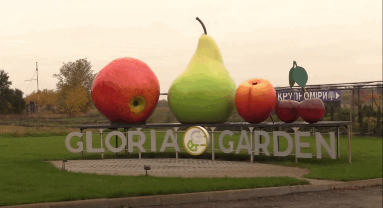 Осінній сад: у Черкасах активно закуповують саджанці плодових дерев та декоративних рослин (ВІДЕО)