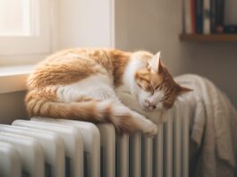 В Черкасах розпочинають опалювальний сезон, хоч Карась просив відтермінувати