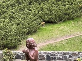 Перший листопадовий вікенд у Черкасах: відпочинок на будь який смак