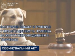 жорстоке поводження