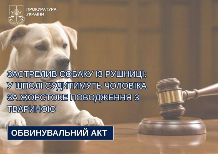 жорстоке поводження