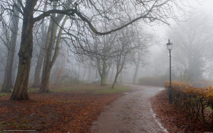 погода туман осінь погода туман осінь