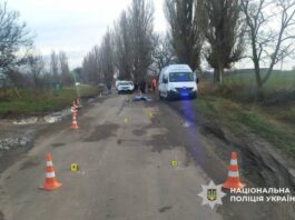Викрав ЗІЛ і збив насмерть людину: на Черкащині чоловіку оголосили підозру Шендерівка