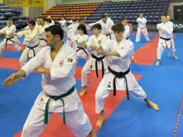 Каратисти з Черкащини вибороли медалі на Чемпіонаті світу карате черкаси