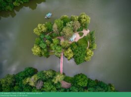 вікі любить фото