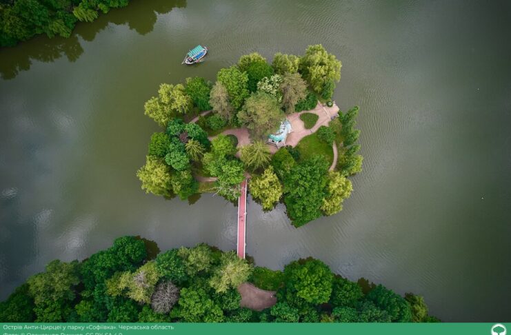 вікі любить фото