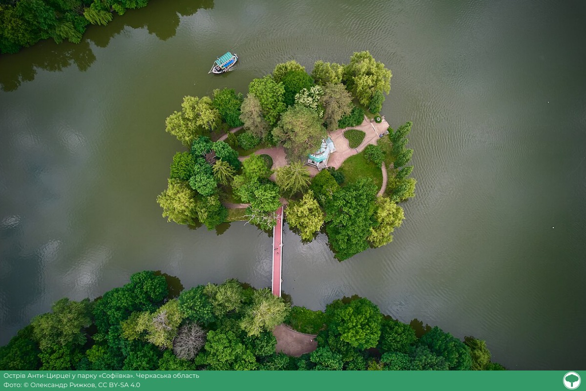 вікі любить фото