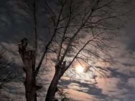 «Без паніки»: черкаські синоптики розвінчують міфи про «суворий сезон»