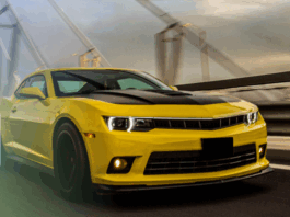 Стало відомо скільки податків сплатили власники елітних автівок Черкащини