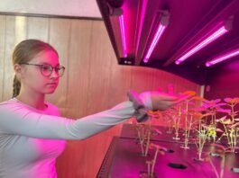 Дві черкаські школи отримали лабораторії для вирощування зелені