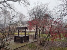 погода село осінь україна