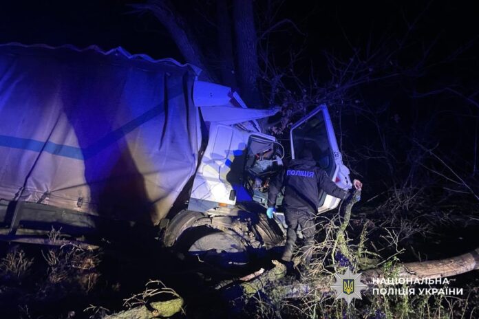 photo_5251629609051164060_y