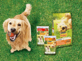 Friskies для собак — вибираємо корм, виходячи з потреб собаки. Поради ветеринара