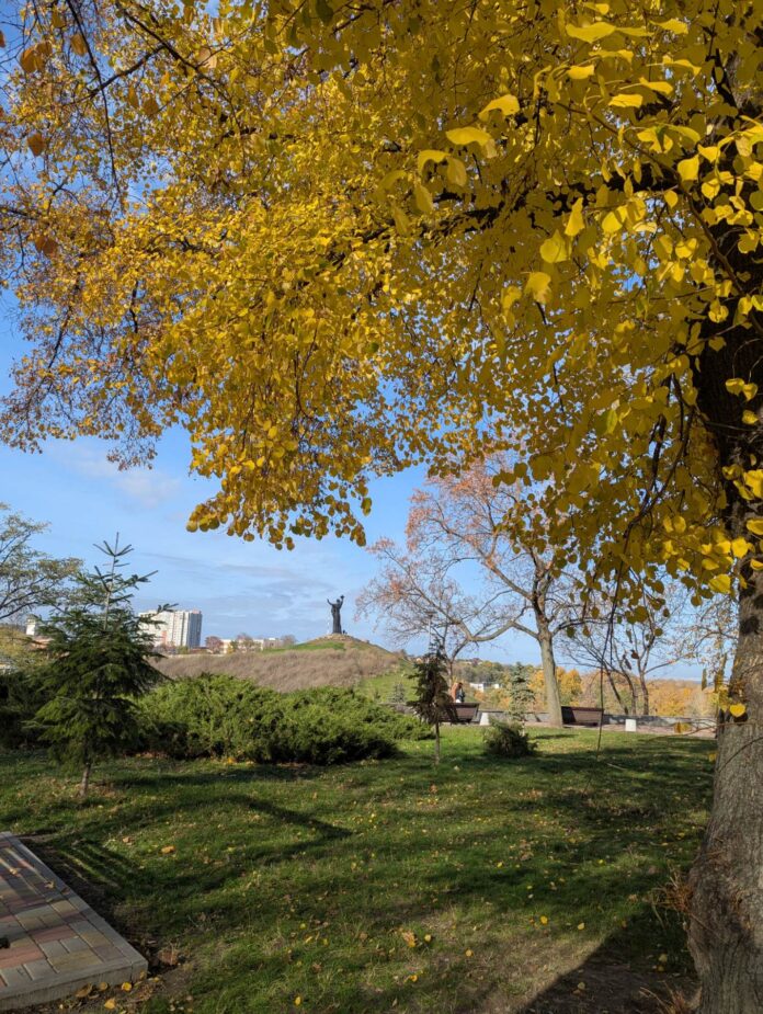 изображение_viber_2025-11-06_21-15-29-801