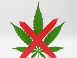 На Черкащині зареєстрували понад 1500 кримінальних наркозлочинів за цей рік